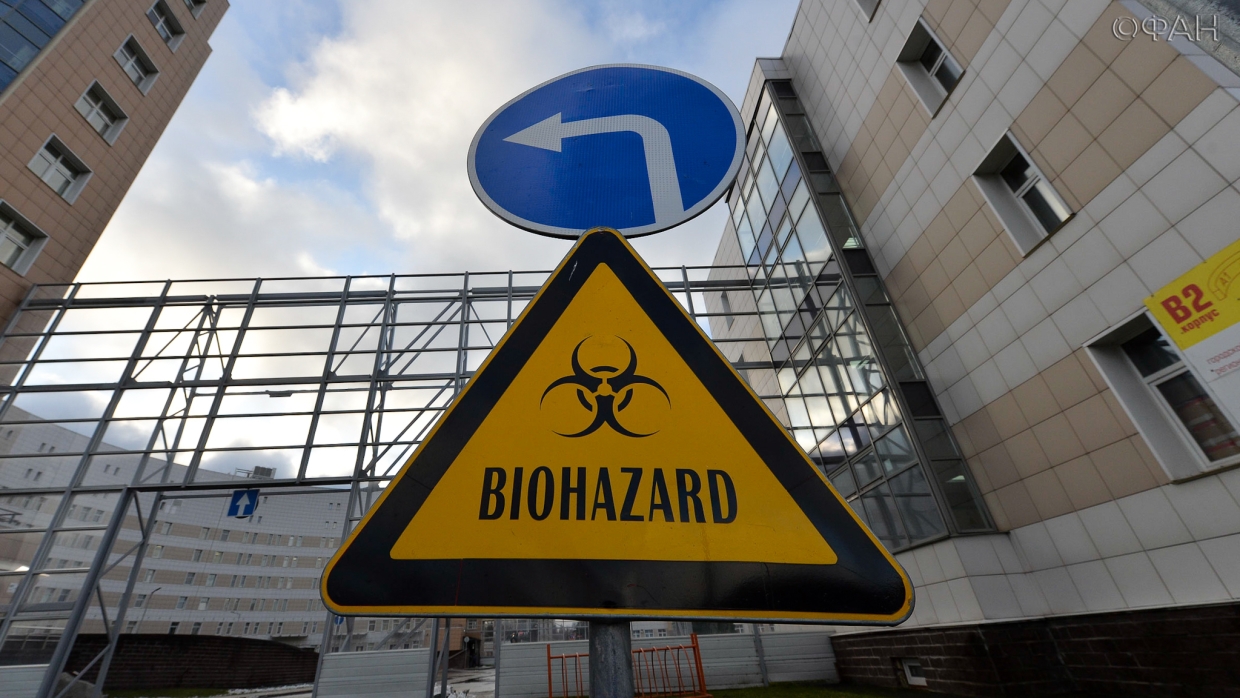 Эпидемиолог Гундарев не исключил, что коронавирус является «мощной промывкой мозгов»