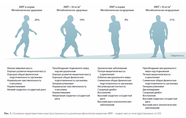 Как различить здоровый и нездоровый избыток массы тела более, ожирение, ткани, людей, висцерального, пациентов, метаболически, печени, уровень, здоровое, близнецов, ожирением, жировой, факторов, которые, массы, группы, «метаболически, соавт, может