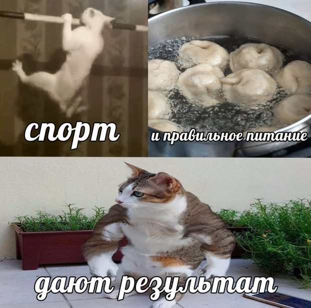 Самые смешные картинки 