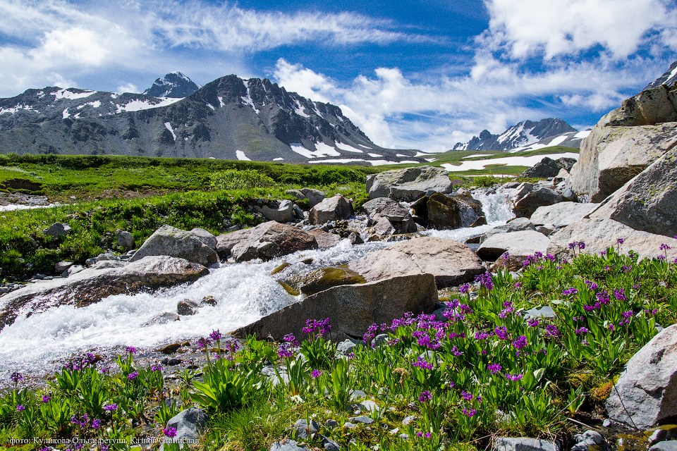 Пейзажи горного Алтая Индия,пейзажи,Путешествия,фото