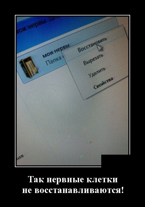 Демотиваторы 11 февраля 