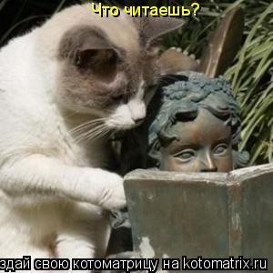 Уфф!!! Ну наконец-то! Котоматрицы великолепные, каждая с доброй улыбкой!!!
