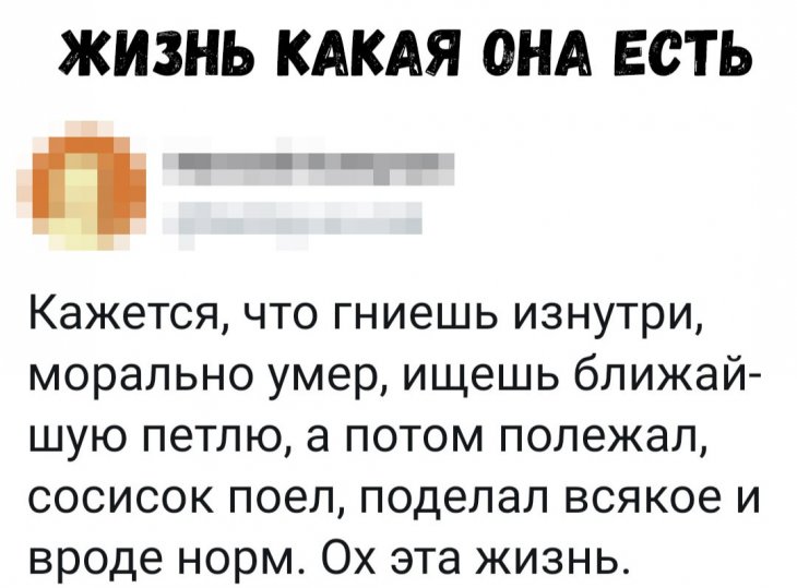Смешные комментарии и смс 