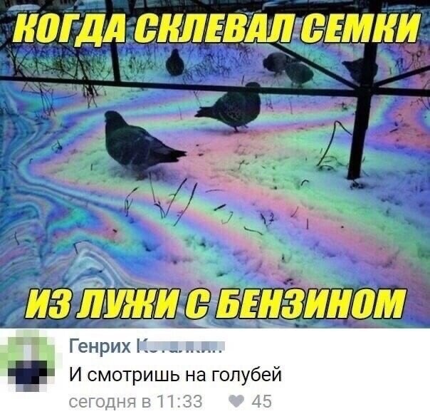 Прикольные фотомемы 