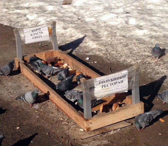 «Умом Россию не понять...» «Умом Россию не понять...»