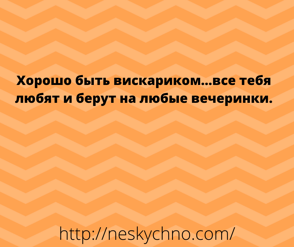 20+ отборных анекдотов, которые поднимут настроение 20+ отборных анекдотов, которые поднимут настроение