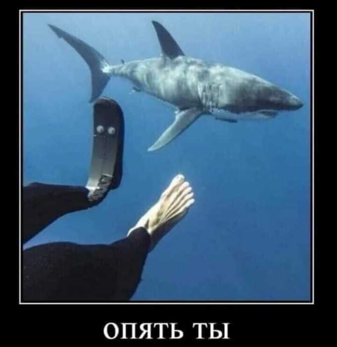 Всё для поднятия настроения! Всё для поднятия настроения!