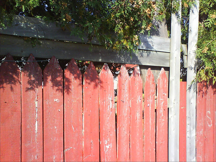 7 глазоразминательных фото «Найди кота» 