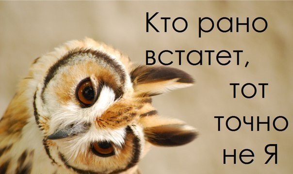 Утро понедельника :) 