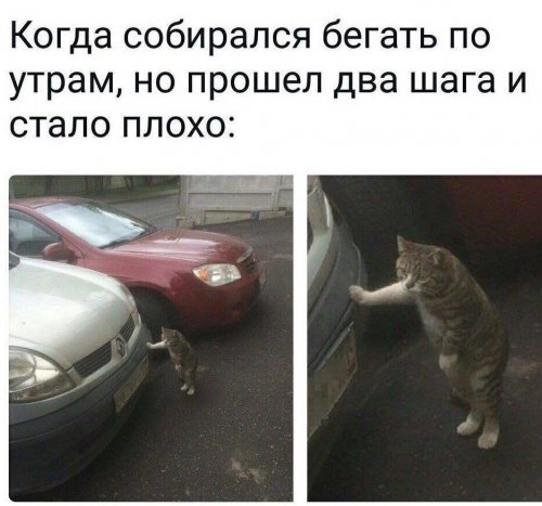 Прикольных картинок пост 