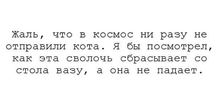 Прикольные и забавные надписи к картинкам и фото приколам 