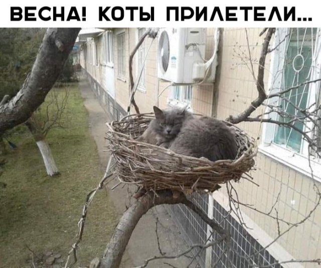 Интересная Фотоподборка выходных Интересная Фотоподборка выходных