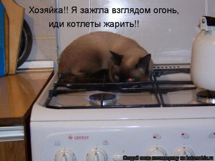 Мысли вслух :)