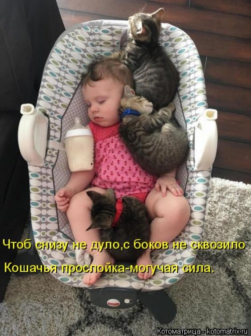 Новая котоматрица на выходные Новая котоматрица на выходные