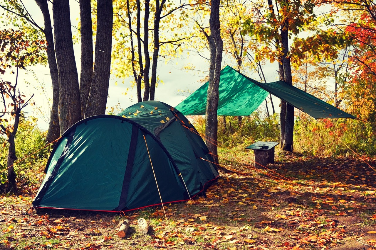 Палатка на природе. Палатка Forest Grand Nora 4 зеленый. Поход с палатками. Туристическая палатка на природе.