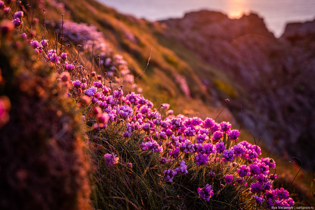 Джерси: британский рай для пенсионеров заграница,страны
