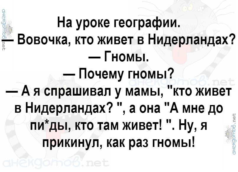 Новоселье всегда отмечают по одной схеме: сначала квартиру обмывают, потом отмывают. . анекдоты,веселые картинки,приколы,юмор