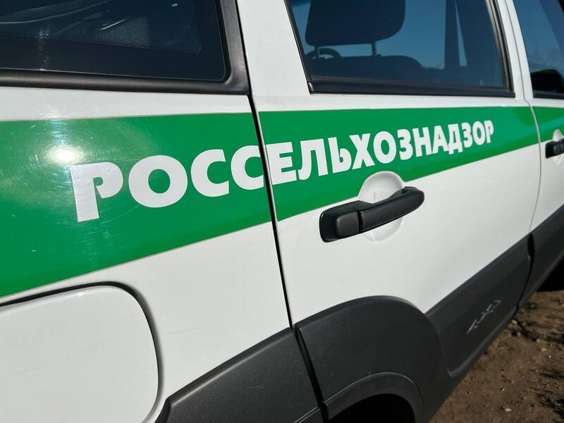 Россельхознадзор выявил нелегальные объекты общепита в регионе