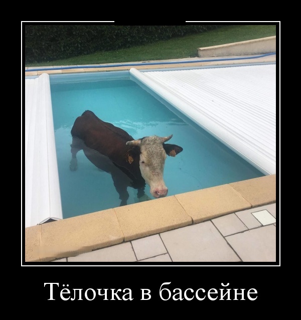 Самые новые демотиваторы Самые новые демотиваторы демотиваторы