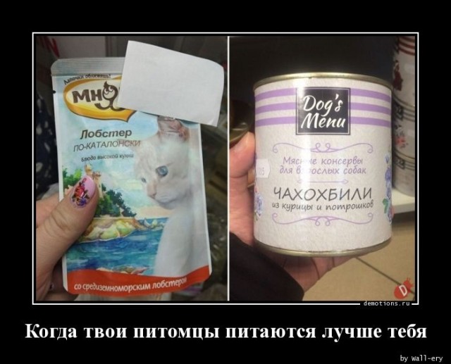 Демотиваторы – приколы: «Умный дом — это когда…» 