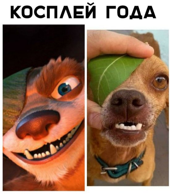 Интересная Фотоподборка выходных Интересная Фотоподборка выходных