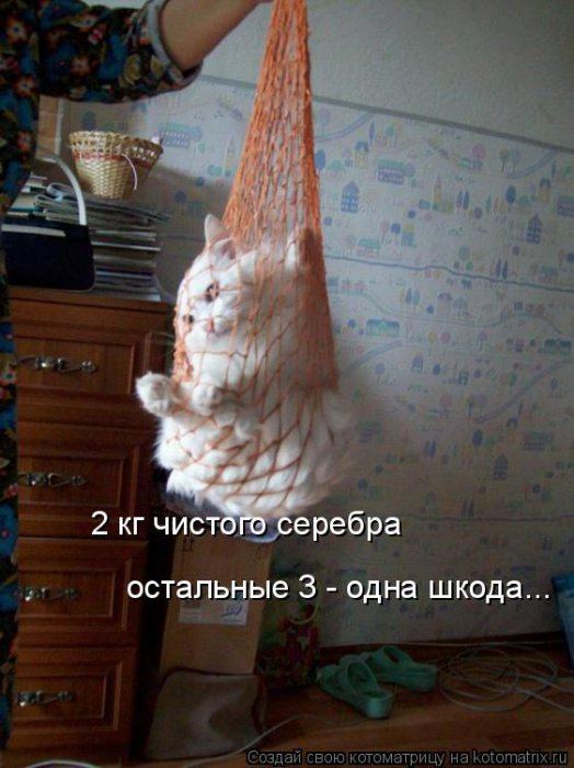 Мысли вслух :)