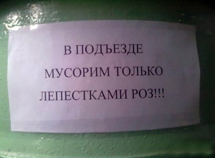 Когда у соседей окончательно лопнуло терпение... Когда у соседей окончательно лопнуло терпение... позитив,смешные картинки,юмор