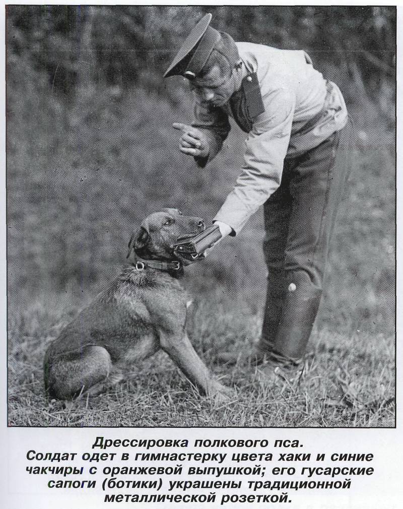 Лейб-гвардии Гусарский в боях и походах Второй Отечественной Лейб-гвардии Гусарский в боях и походах Второй Отечественной история