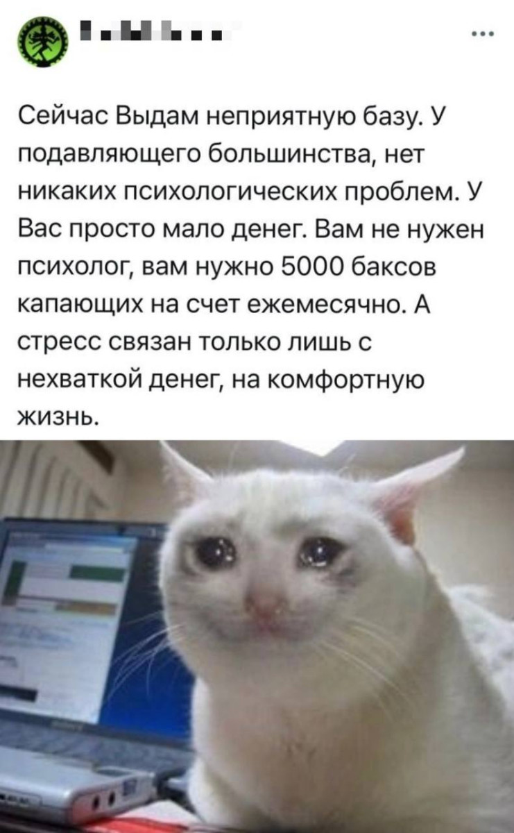 Юмор за день и интересы 