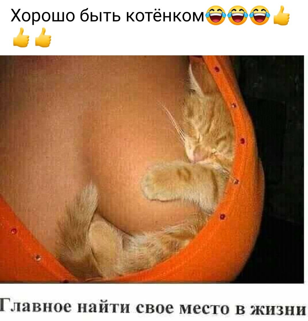 Мужик просыпается. Первый день отпуска. Записка у изголовья... Мужик просыпается. Первый день отпуска. Записка у изголовья... Весёлые,прикольные и забавные фотки и картинки,А так же анекдоты и приятное общение