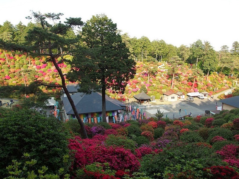 Shiofune-Kannon-ji Temple – буддийский храм, окруженный разноцветными кустами азалии авиатур