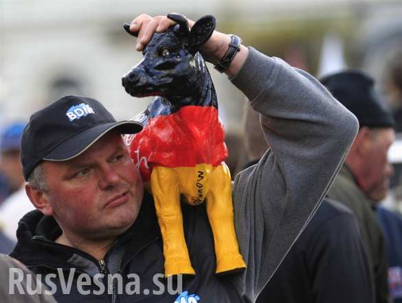 «Верните нам Россию»: кто и почему добивается в Бельгии отмены санкций против Москвы | Русская весна