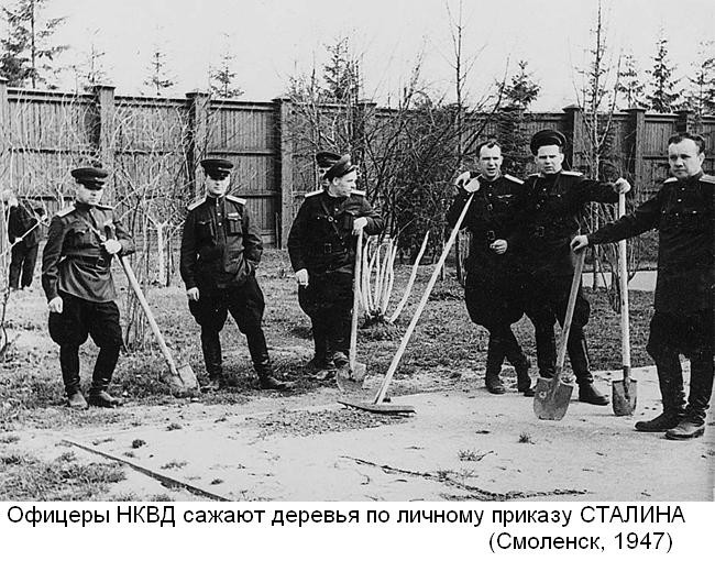 Глава Хакасии Коновалов решил добавить себе 400% оклада