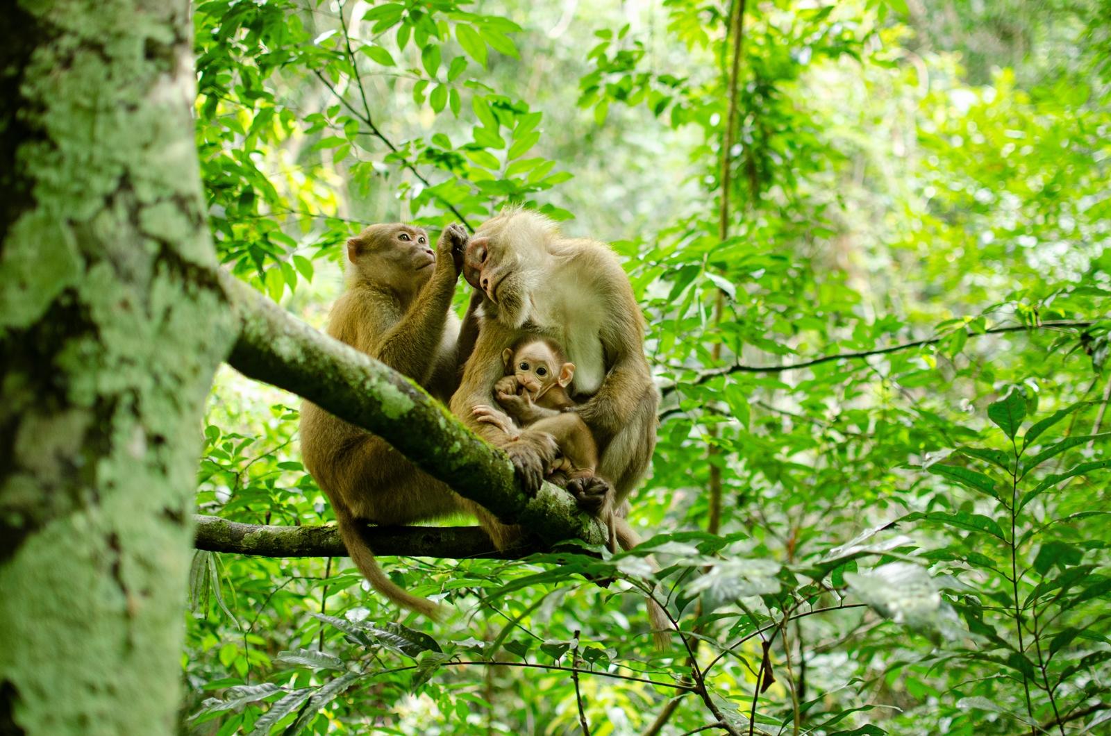25 самых милых фотографий животных в дикой природе ShutterstockFotodomruфото, ктото, Bachkova, посмотрите, Piotr, марта, только, дикой, NataliaShutterstockFotodomruфото, KrzeslakShutterstockFotodomruфото, важной, удивленно, выглядывает, Только, укрытия, сладко, рядом, неловко, кувыркается, траве