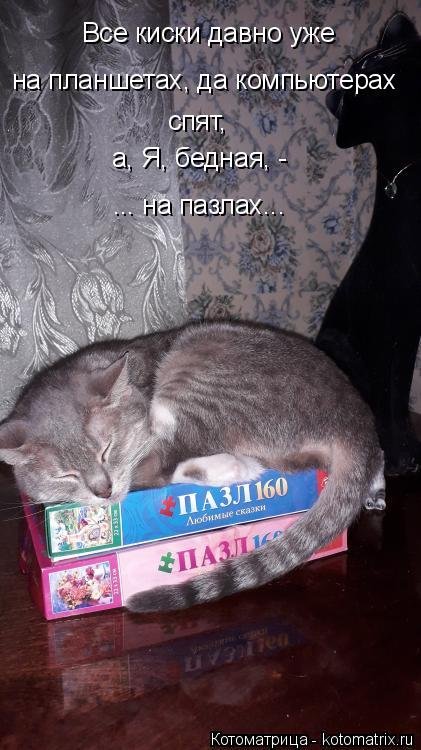 Новая котоматрица 