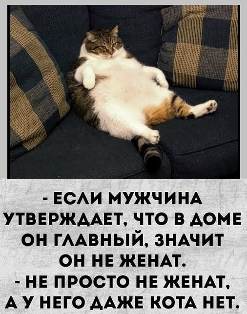 Ты Не Похудеешь К Лету Картинки.