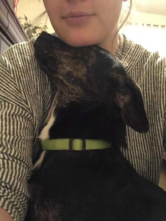 Девушка с собакой