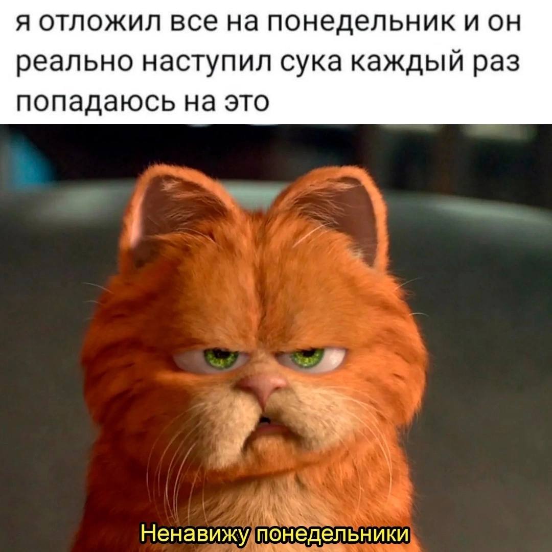 Юмор за день и интересы 