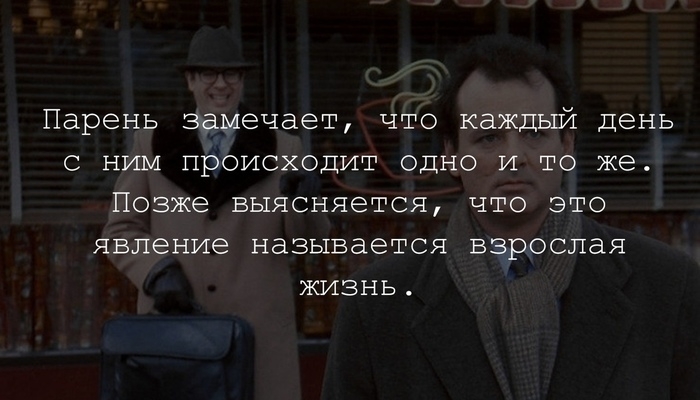 Смешные «Аткрытки» среды 5 Декабря Смешные «Аткрытки» среды 5 Декабря