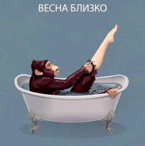 Официант, что это насекомое делает в моем супе? неразб, организм, золотая, медицинскую, трухлявостью, сухие, длиннее, хворост, толще, веточки, назначения, медицинского, писчая, сторон, береста, выносить, разрешается, Бесплатно, валежника, выносе