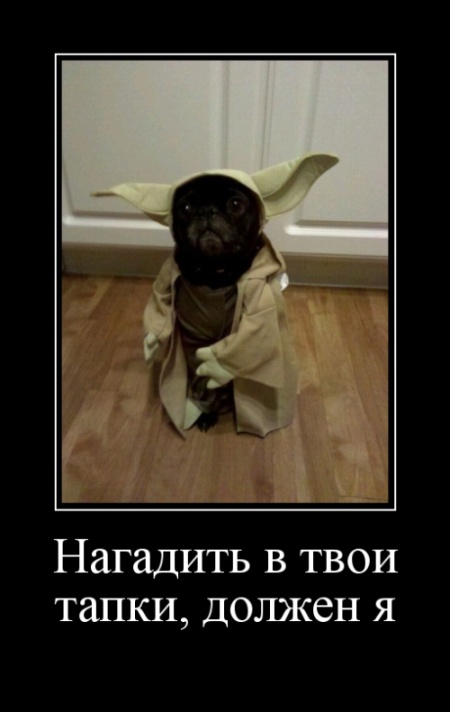 Самые новые демотиваторы Самые новые демотиваторы демотиваторы