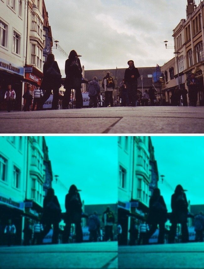 Как выглядит мир глазами животных Как выглядит мир глазами животных животные,интересное,познавательно