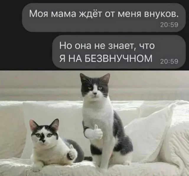 Лучшие шутки и мемы из Сети