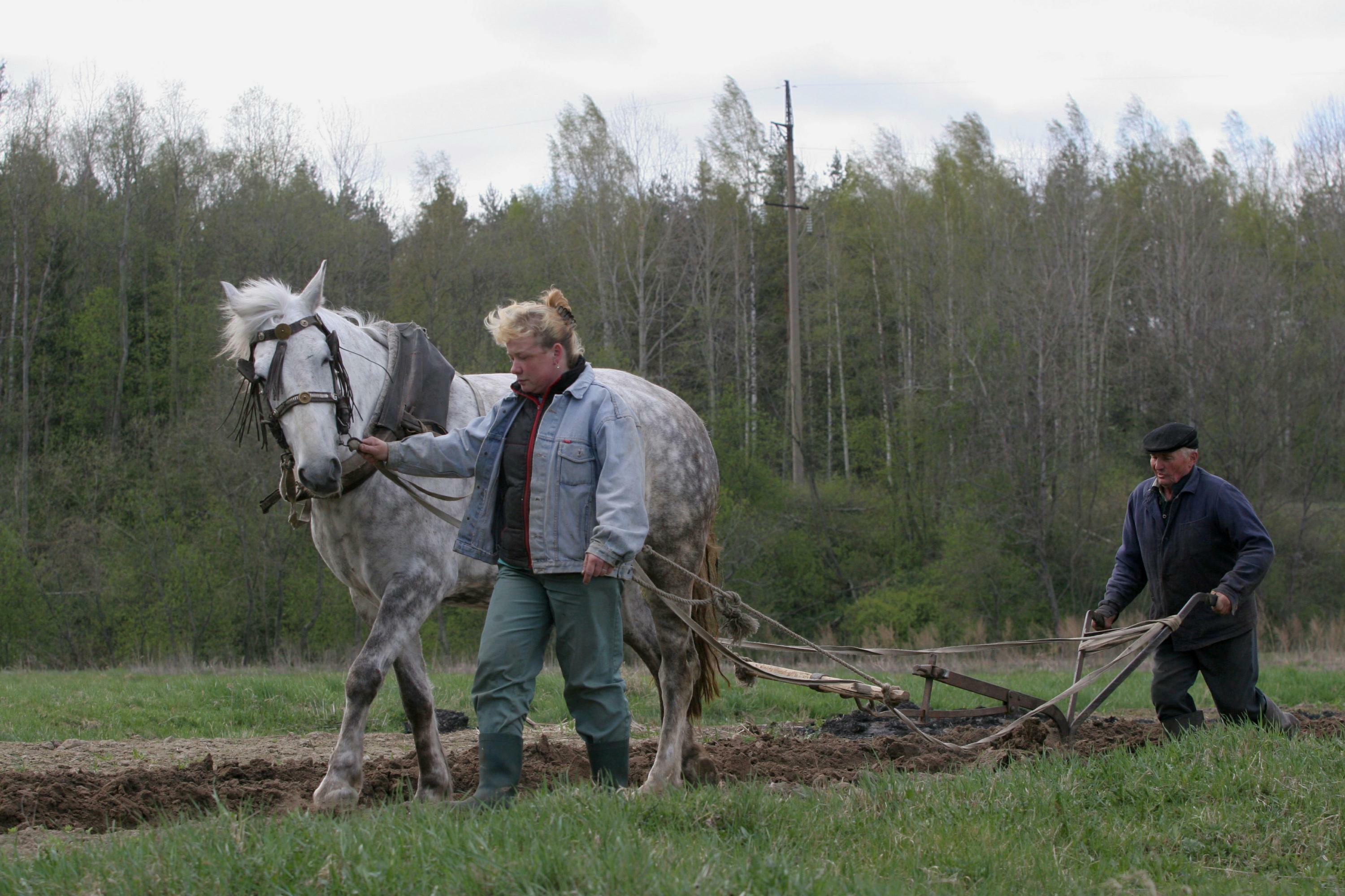 Еремей запрягальник праздник картинки