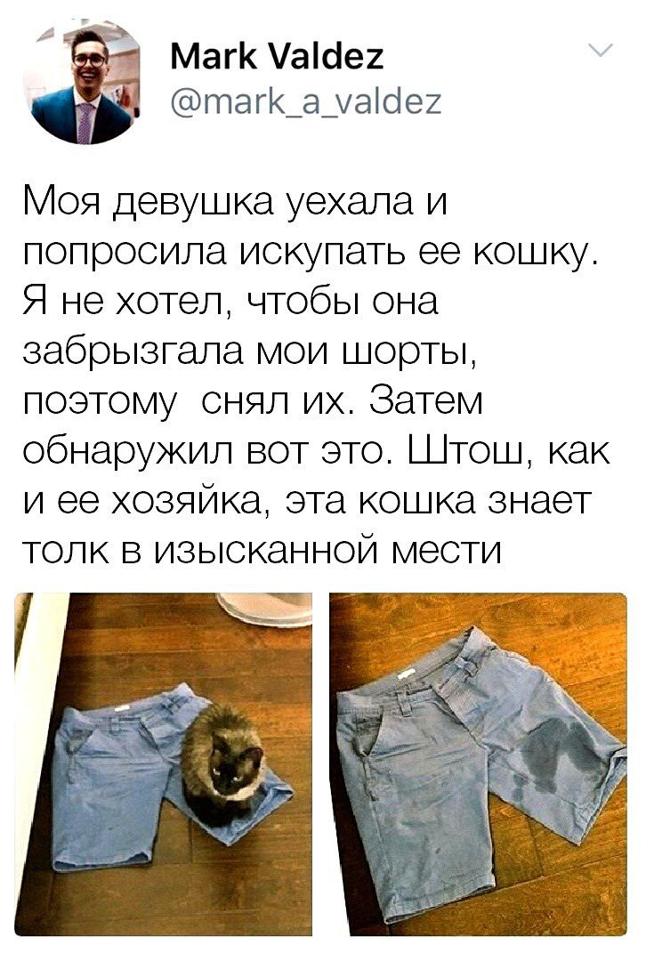 Смешные твиты и комментарии Смешные твиты и комментарии