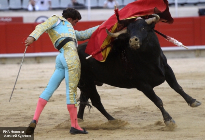 Здорово, великолепно: зоозащитники празднуют победу быка над тореадором