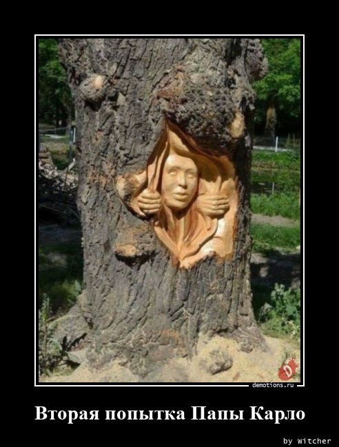 Демотиваторы – приколы: «Контенна» 