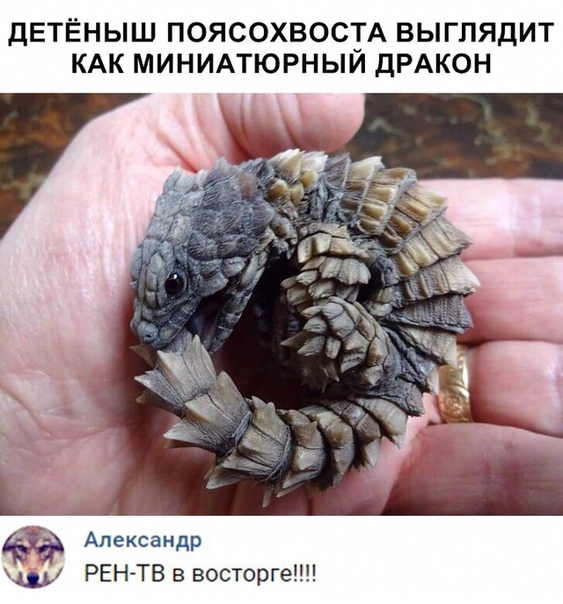 Подборка смешных и жизненных надписей к фотографиям 