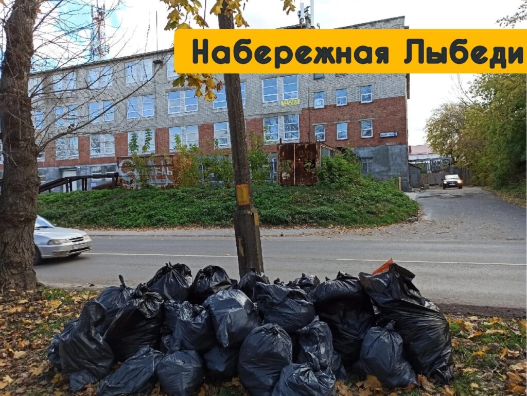 Экоактивисты подвели итоги «Большой уборки» в Рязанской области