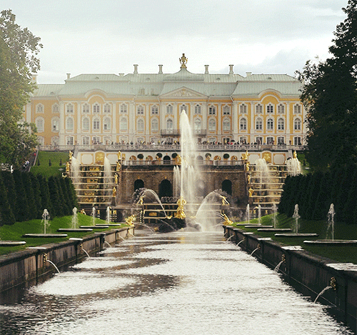 Зачетные и прикольные гифки из нашей жизни 